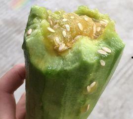 生的羊角瓜怎么吃,从生食到美味佳肴