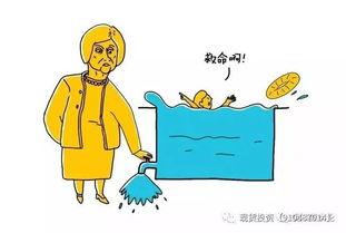 吃瓜群众毛先生,吃瓜群众的视角解读娱乐圈风云