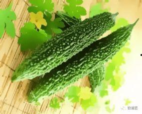 春吃艾夏吃瓜,四季养生之道