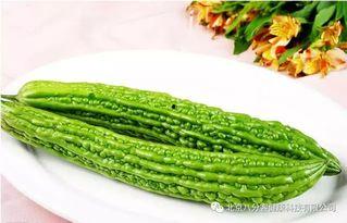 春吃艾夏吃瓜,四季养生之道