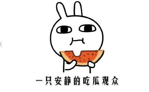 形容吃瓜的意思,揭秘吃瓜群众的狂欢盛宴