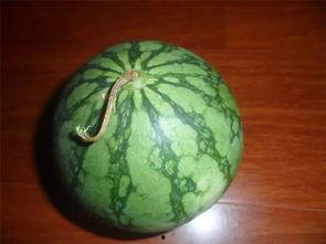 老盖吃瓜,揭秘娱乐圈那些不为人知的幕后故事