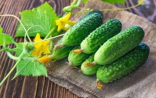 love吃瓜,LOVE吃瓜大事件，真相与谣言的较量