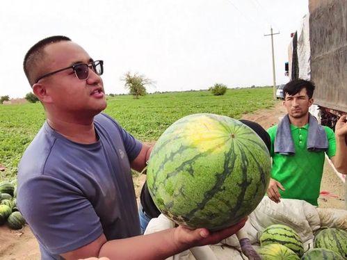 西片吃瓜图片,揭秘娱乐圈幕后风云