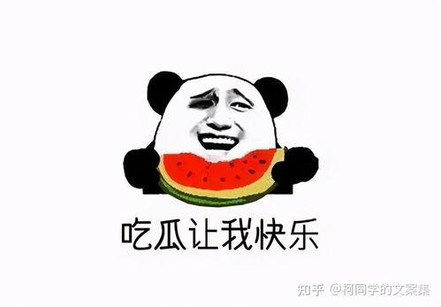 不做吃瓜群众