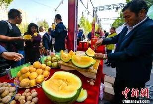 吃瓜娱趣,揭秘娱乐圈背后的故事与笑料