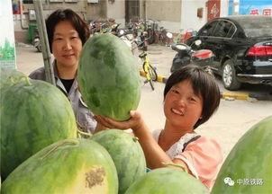 桃园小区吃瓜,邻里琐事引发社区热议