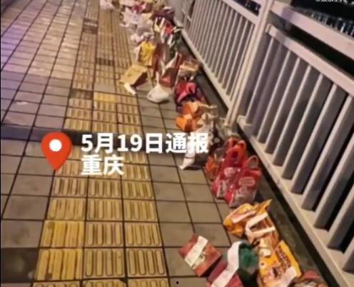 吃瓜胖猫事件,网络热议背后的真相与反思