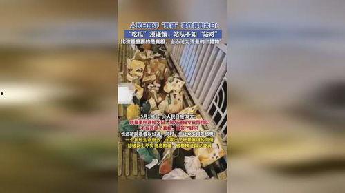 吃瓜胖猫事件,网络热议背后的真相与反思