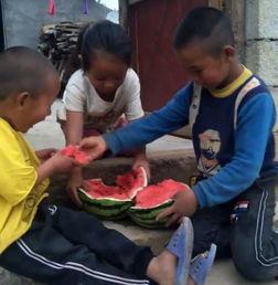 兄妹吃瓜动作,温馨瞬间定格