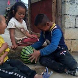 兄妹吃瓜动作,温馨瞬间定格