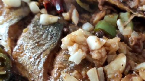 青魚吃瓜了嗎,一场神秘吃瓜之旅