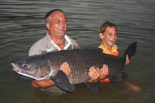 青魚吃瓜了嗎,一场神秘吃瓜之旅