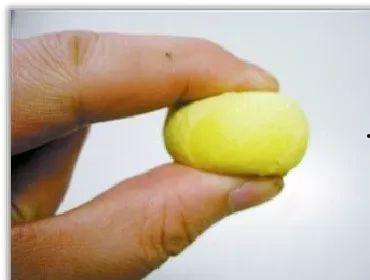 吃瓜的各种简称