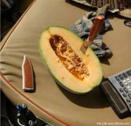 各种吃瓜群众名称,从吃瓜群众到键盘侠，揭秘网络舆论背后的众生相