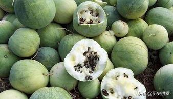 鹤轩嗑瓜子吃瓜,揭秘娱乐圈的甜蜜与苦涩