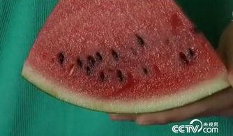 吃瓜怎么吐籽,吃瓜新体验