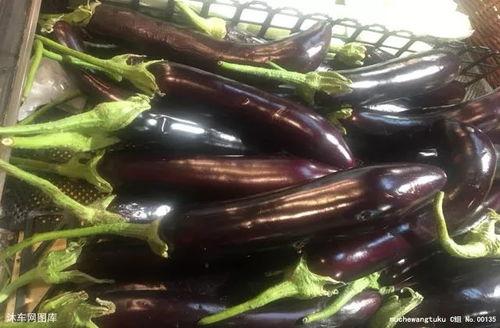 茄子sp吃瓜网址