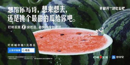 吃瓜留籽文案,品味人生百态