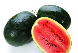 大logo 吃井冈蜜瓜,大logo下的甜蜜诱惑