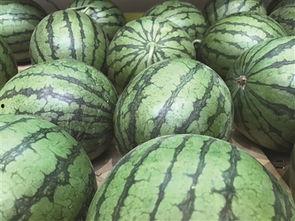 老瓜头怎么吃的,老瓜头的美味吃法揭秘