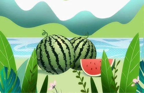 德云吃瓜群,揭秘相声界的欢乐与八卦