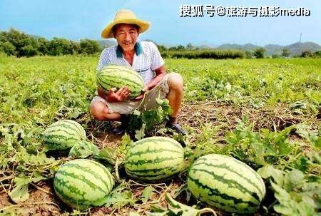 老四早期路边吃瓜,见证市井百态的市井传奇