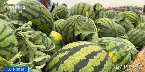 最新最热吃瓜在线