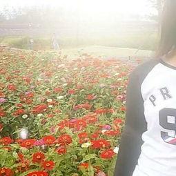 筱敏吃瓜,揭秘娱乐圈幕后故事