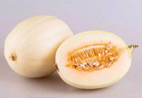 惠州水东江吃瓜